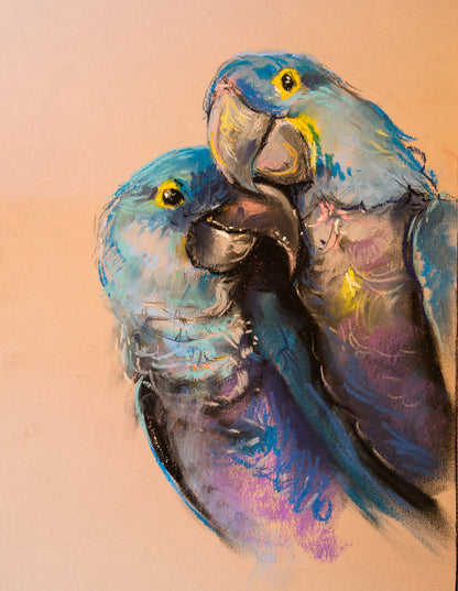 Parrot Couple Painting Print 100% Australian Made