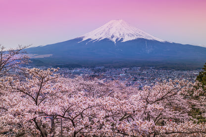 Snow Covered Mountain & Blossom Flower Tree Forest Scenery Photograph Home Decor Premium Quality Poster Print Choose Your Sizes