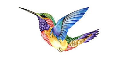 Colourful Humming Bird Painting Print 100% Australian Made