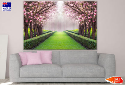 Blossom Trees in Garden Photograph Print 100% Australian Made