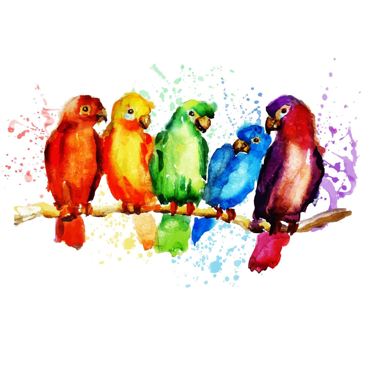 Colourful Birds Watercolour Painting Print 100% Australian Made