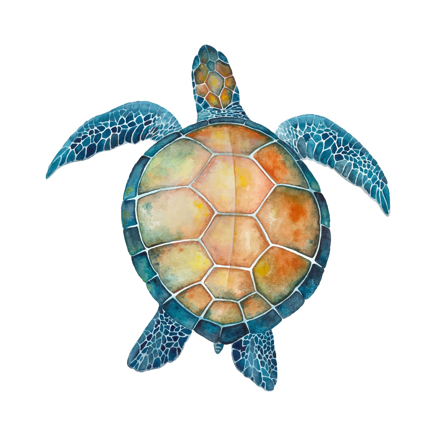 Square Canvas Colorful Turtle Watercolor Painting High Quality Print 100% Australian Made