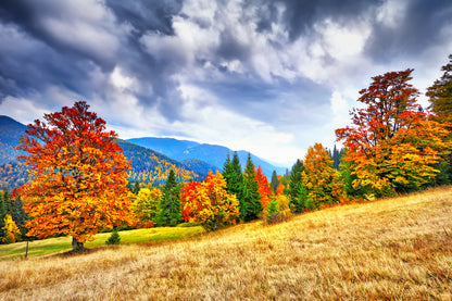 Autumn Trees & Bushes with Mountain Landscape View Photograph Print 100% Australian Made