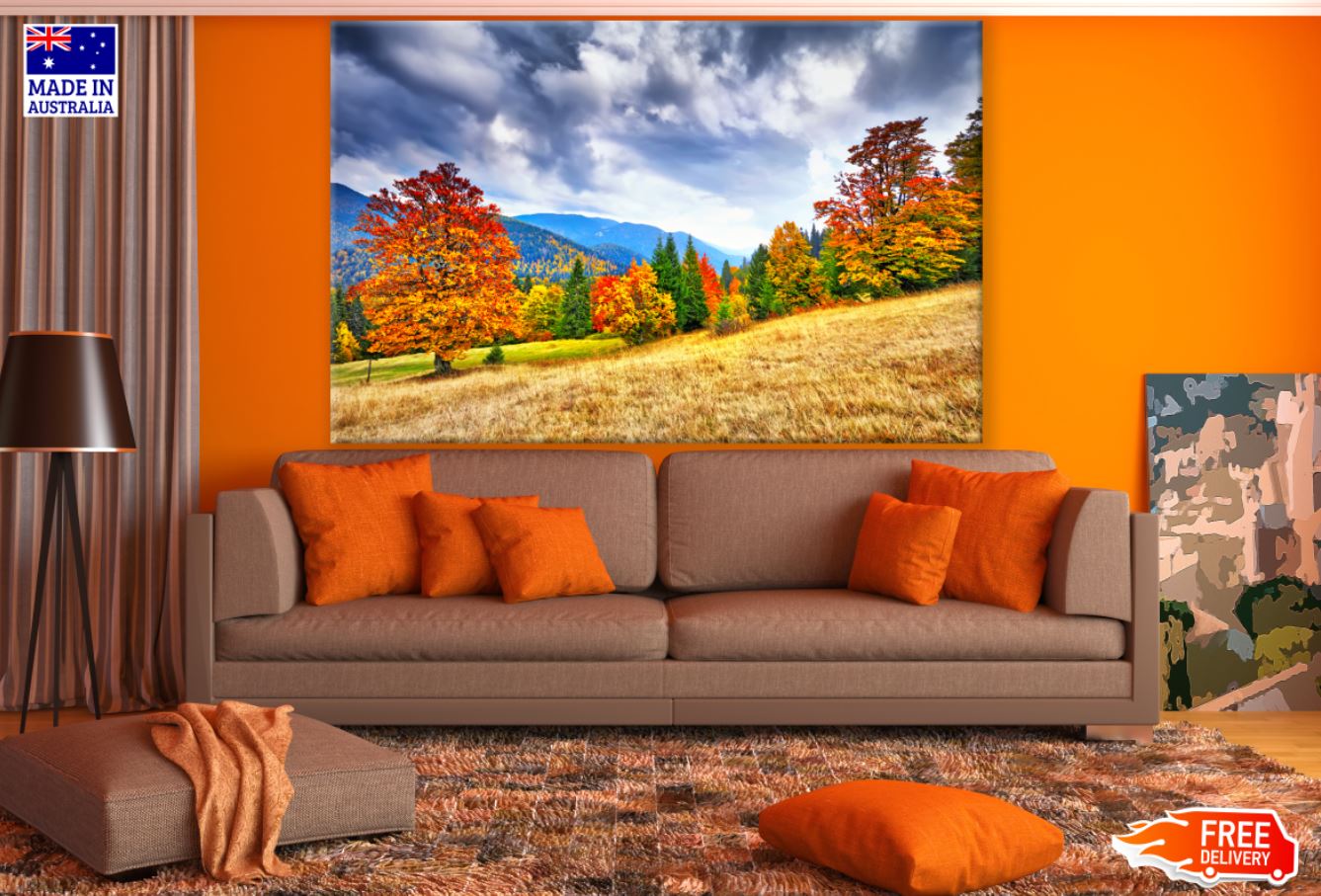 Autumn Trees & Bushes with Mountain Landscape View Photograph Print 100% Australian Made