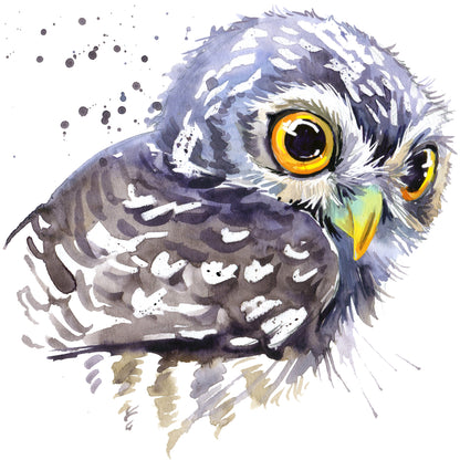 Square Canvas Colorful Owl Portrait Watercolor Painting High Quality Print 100% Australian Made