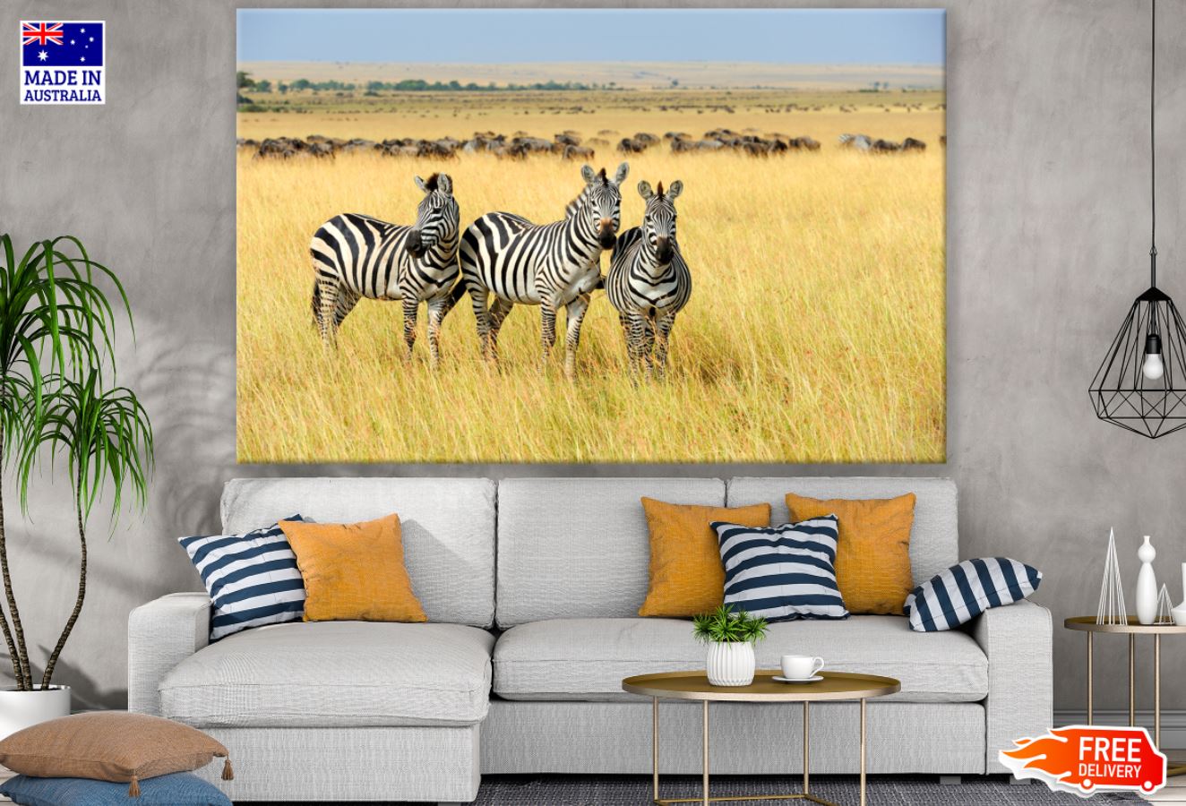 Zebras in Field Photograph Print 100% Australian Made