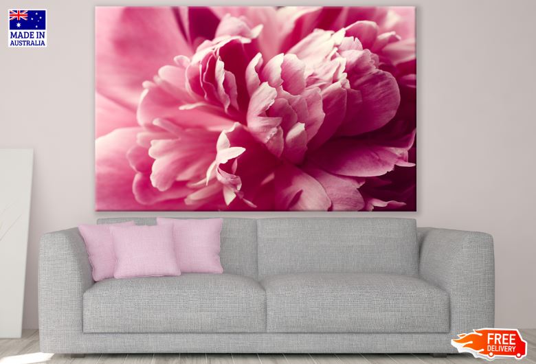 Pink Peony Flower Macro Photograph Print 100% Australian Made