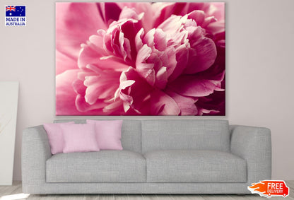 Pink Flower Macro Photograph Print 100% Australian Made