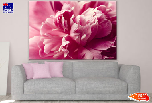 Pink Flower Macro Photograph Print 100% Australian Made