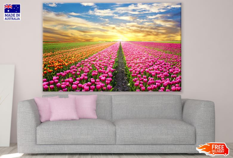 Tulip Flower Field at Sunset Scenery Photograph Print 100% Australian Made
