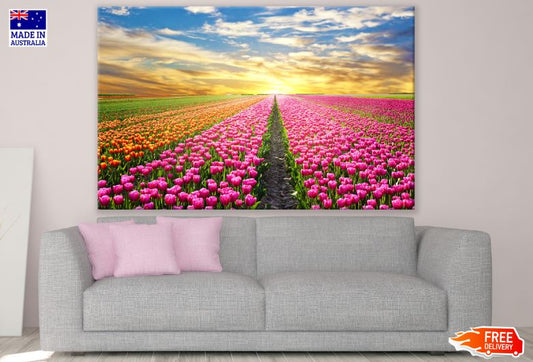 Tulip Flower Field at Sunset Scenery Photograph Print 100% Australian Made