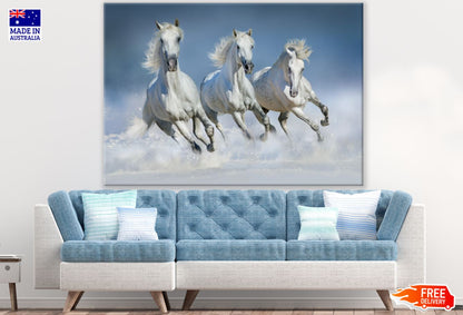 Running Three Horses Photograph Print 100% Australian Made