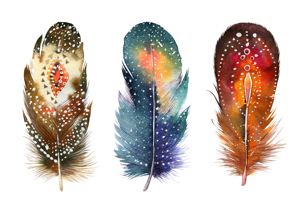 Colorful Feathers Watercolor Painting Print 100% Australian Made