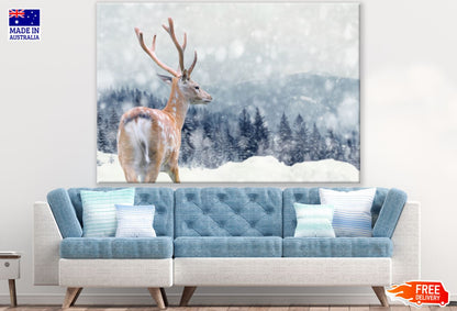 Deer on Snow Photograph Print 100% Australian Made