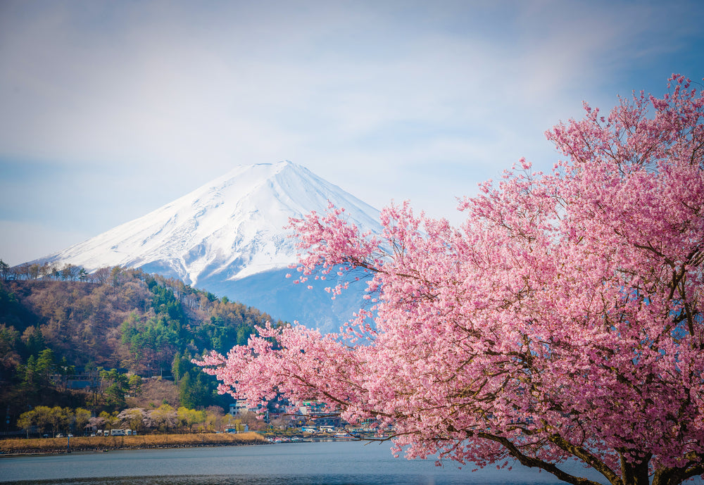 Stunning Nature Scenery Photograph Home Decor Premium Quality Poster Print Choose Your Sizes