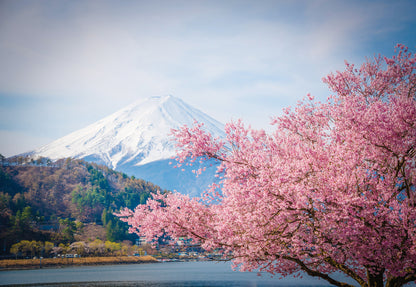 Blossom Tree & Mountain View Scenery Photograph Print 100% Australian Made