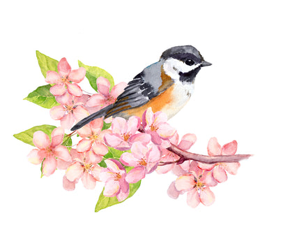 Bird on Flower Tree Branch Watercolor Painting Print 100% Australian Made
