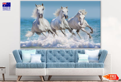 Running Horses on Water Photograph Print 100% Australian Made