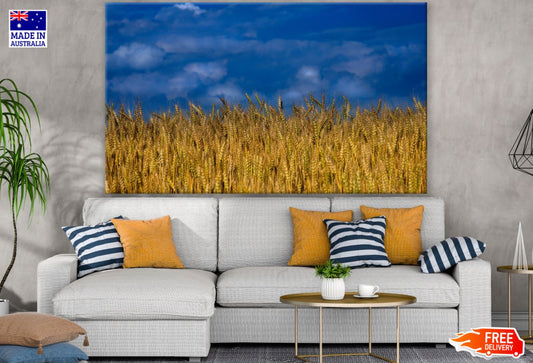 Wheat Field Photograph Print 100% Australian Made