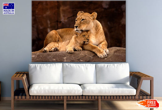 Lioness & Cub Photograph Print 100% Australian Made