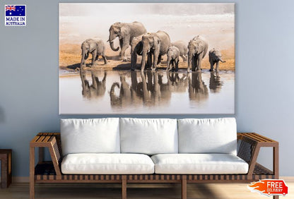 Elephants Near Lake Photograph Print 100% Australian Made