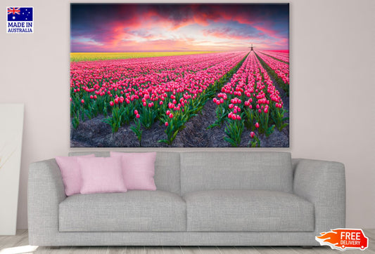 Tulip Field Sunset View Photograph Print 100% Australian Made