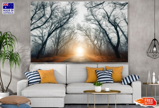 Misty Forest Photograph Print 100% Australian Made