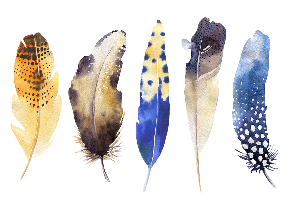 Native Feather Popular multicoloured Print 100% Australian Made