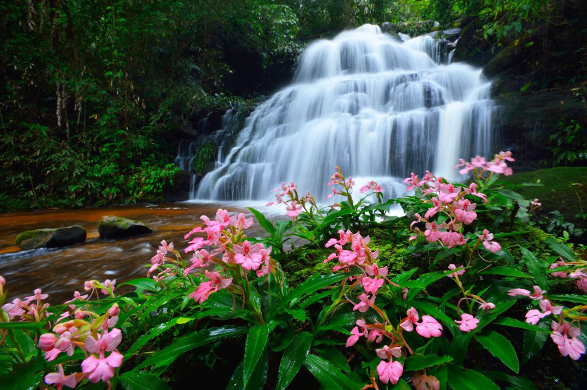 Stunning Waterfall Scenery View Home Decor Premium Quality Poster Print Choose Your Sizes