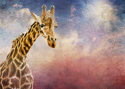 Giraffe Portrait Watercolour Painting Print 100% Australian Made