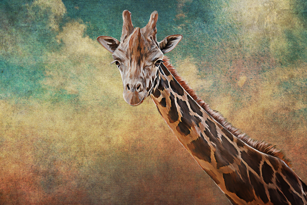 Giraffe Portrait Watercolour Painting Print 100% Australian Made