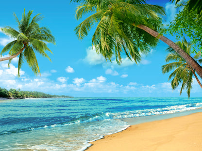 Palm Trees & Sea Scenery Photograph Print 100% Australian Made