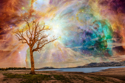 Tree & Space Colourful Scenery Print 100% Australian Made