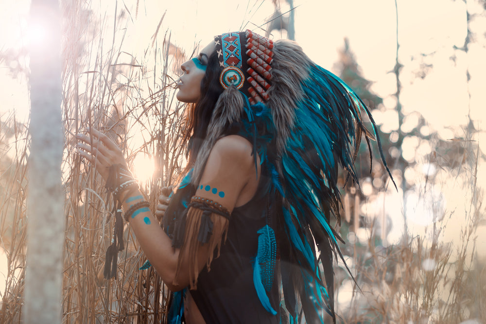 Young Indian Warrior With Blue Feather Headdress Photograph Print 100% Australian Made