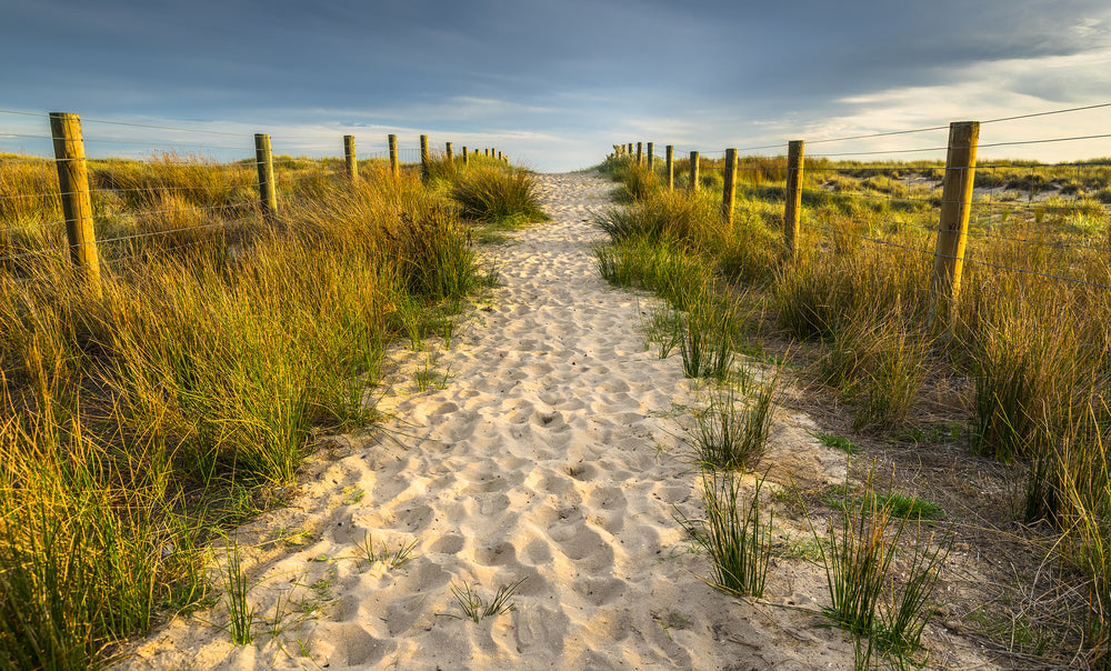 Sunset Beach Walking Path Photograph Print 100% Australian Made