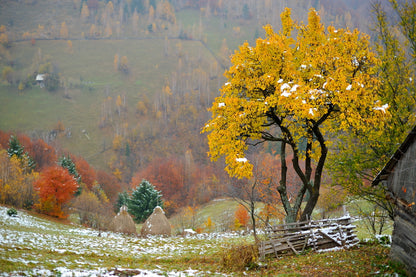 Autumn Nature Scenery Photograph Home Decor Premium Quality Poster Print Choose Your Sizes