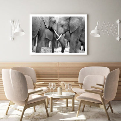 Elephants B&W Photograph Home Decor Premium Quality Poster Print Choose Your Sizes