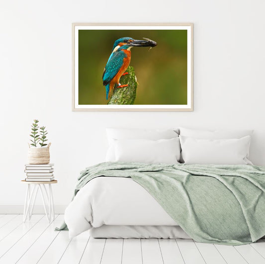Kingfisher Bird with a Fish View Home Decor Premium Quality Poster Print Choose Your Sizes