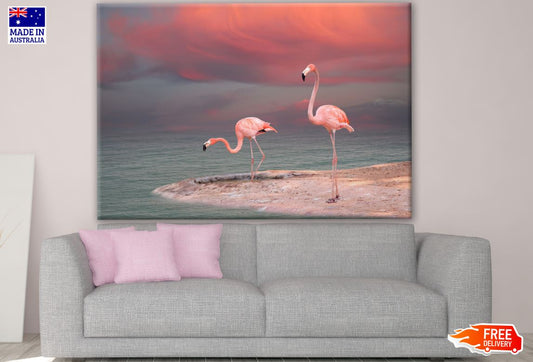 Flamingos near Lake Photograph Print 100% Australian Made