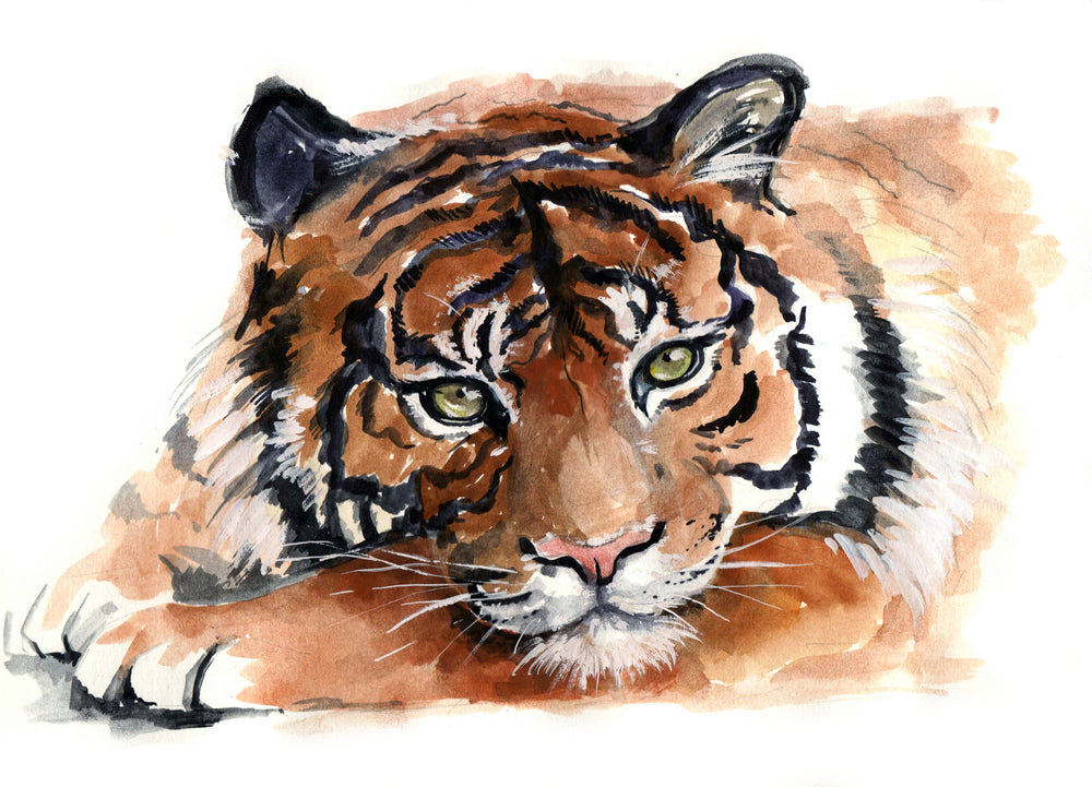 Tiger Portrait Watercolor Painting Print 100% Australian Made