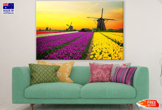 Colorful Tulips Field & Windmills Print 100% Australian Made
