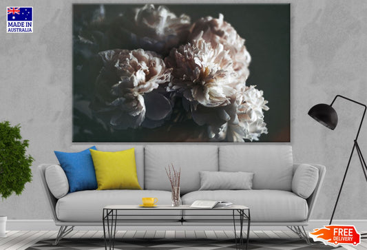 Flowers Closeup Photograph Print 100% Australian Made