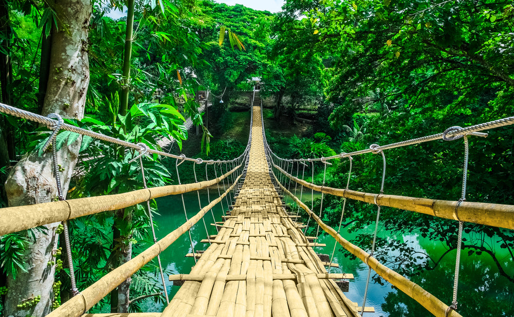 Hanging Bridge (Philippines) Over Tropical Print 100% Australian Made