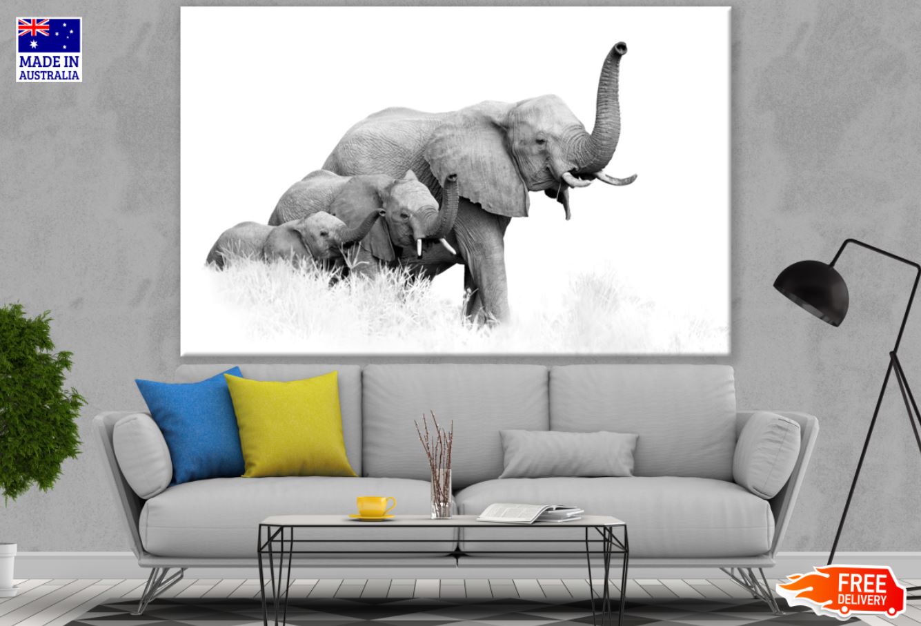 Elephants B&W Photograph Print 100% Australian Made