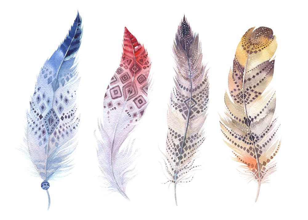 Bohemian Watercolor Feathers Art Print 100% Australian Made