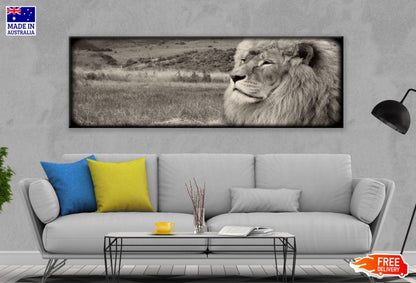 Panoramic Canvas Lion B&W Photograph High Quality 100% Australian made wall Canvas Print ready to hang