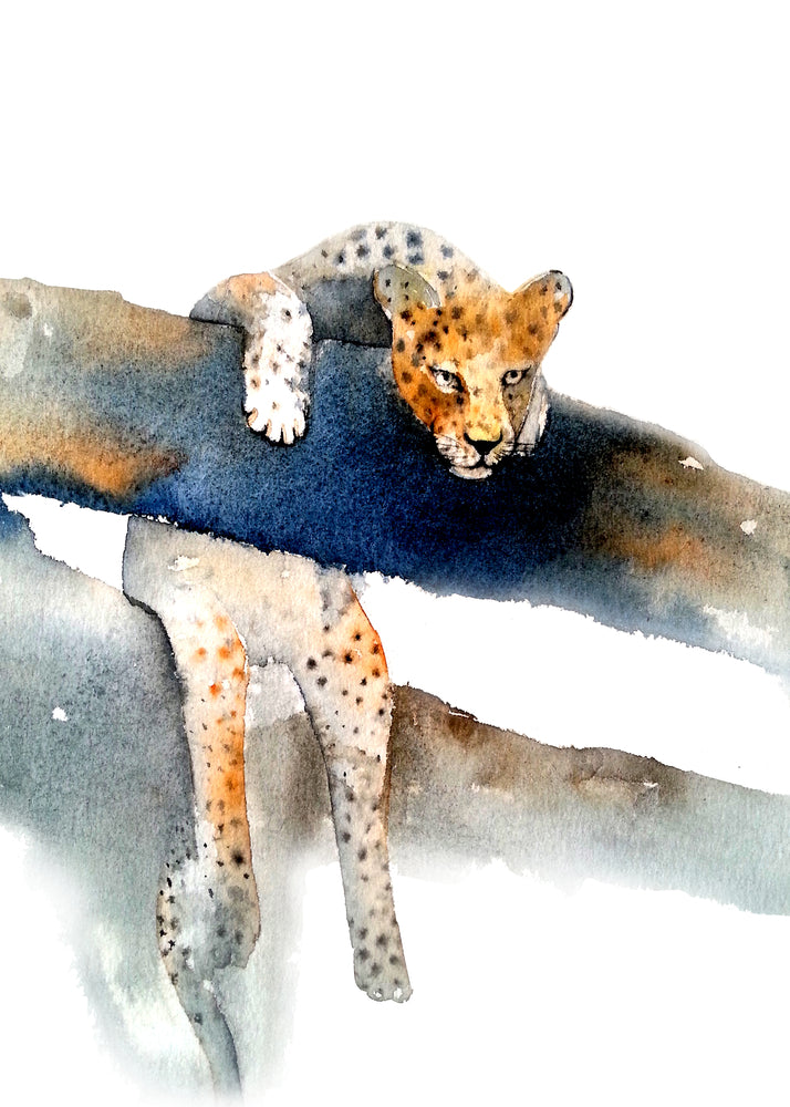 Leopard on a Tree Watercolour Painting Print 100% Australian Made