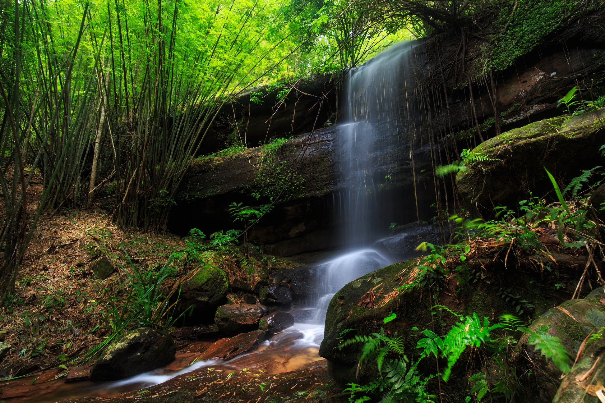 Waterfall in Forest Photograph Print 100% Australian Made