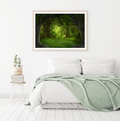 Deep Forets Scenery Photograph Home Decor Premium Quality Poster Print Choose Your Sizes