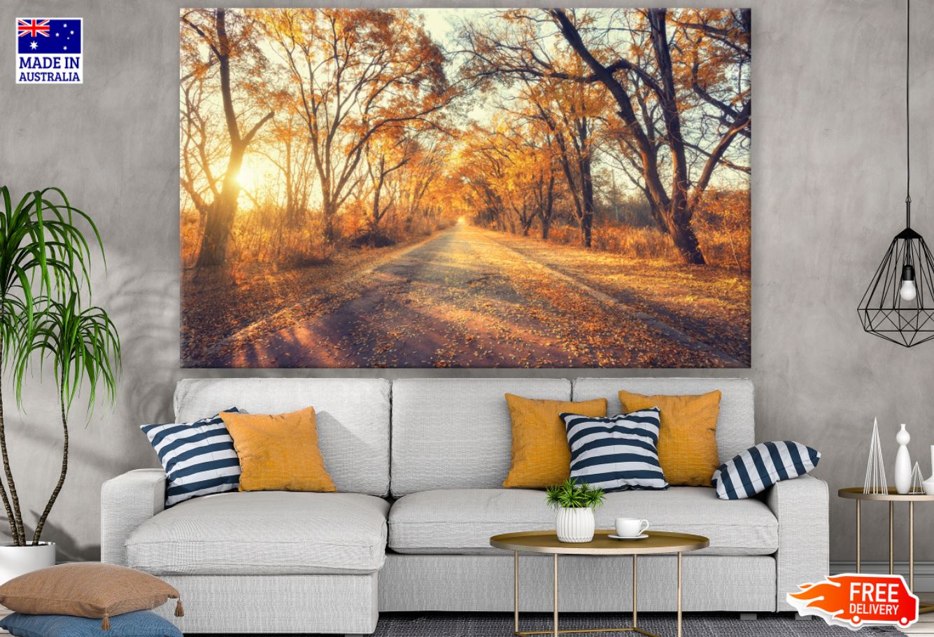 Autumn Forest Sunset Photograph Print 100% Australian Made